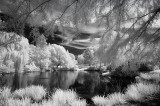 Resize of _DSC2921.jpg