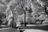 Boston Common - Fuji TAC IR-84 Filter