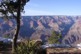 IMG_2443c.jpg