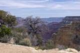 IMG_2581c.jpg