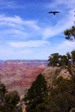 IMG_4891a.jpg