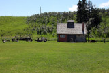 IMG_6518w.jpg