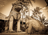 Lion & frog
