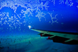 Aerial ice crystal