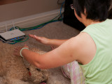 Therapeutic touch for Misty