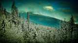 Trees & mountains, Rocky Mountain, Canada