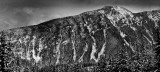 Mountain, near Revelstoke, B.C.
