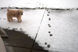 Are those my footprints?