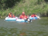 IMG_0818.jpg