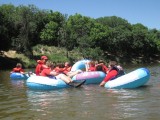 IMG_0842.jpg