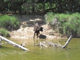 IMG_0864.jpg