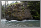 On way to Avalanche Lake