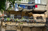 ako_DSC0454w.jpg