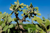 titora_DSC2847w.jpg