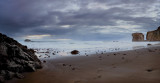 Maori-Bay-Saved-for-Web.jpg