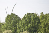 ..... a view of the Air Force Memorial in Arlington, VA.