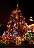 Collingwood Road Lights DSC_5631-Web5x7-Close-Up.jpg