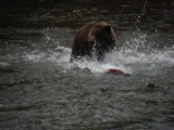 2012 Grizzly Fishing