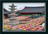 2012 - Buddha's 2556th Birthday Lanterns