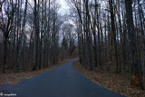 Backroad