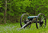 Cannon and Phlox