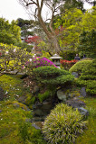 Japanese Tea Garden