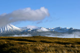 Morning Mist, Ruapehu and the Desert Road