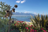 Kaikoura Coastline