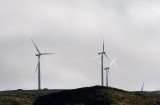 31 August 2011 - Makara Wind Farm