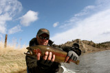 Spring Rainbow