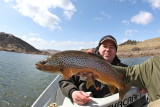 Largish Brown (22)