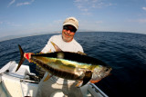 Yellowfin Tuna