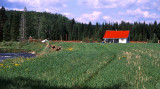 Prairie Creek in Spring