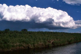 Thunderhead Over Prairie Creek