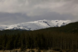 Local Peaks