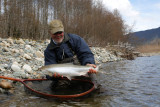 Kitimat Steelhead
