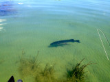 East End Pike