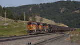mrl_pics