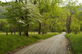 Cades Cove, Smoky Mountain national park