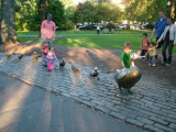 Make Way for Ducklings Statuettes