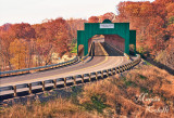 SMOLEN GULF BIRDGE-5297.jpg