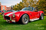 1965 SHELBY COBRA_2047.jpg