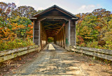 MIDDLE ROAD BRIDGE_5656.jpg