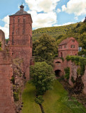 HEIDELBERG CASTLE_7200.jpg