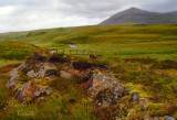 Northcoast Highlands1772 .jpg