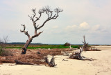 FOLLY BEACH-2403.jpg