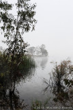 Morning at the Lake