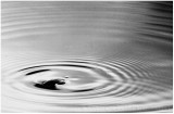Water beetle ripples.