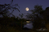 Full Moon on Aug 13, 2011