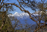 820_YH_Himalaya Mt. Jumolhari 7300 mts b_MG_3246-s-.jpg